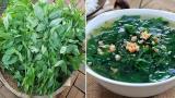 3 sai lầm tai hại khi ăn rau ngót gây hại cho cơ thể, nhiều người Việt không biết mà tránh