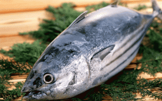 6 loại cá chứa nhiều thủy ngân, càng ăn càng hại, nhà có con nhỏ cần phải tránh